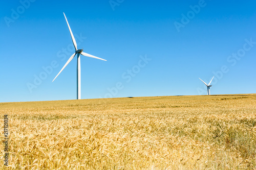Two white wind turbines protruding above a rolling field of ripe wheat under a deep blue sky in the french countryside with golden ears of wheat in the foreground.