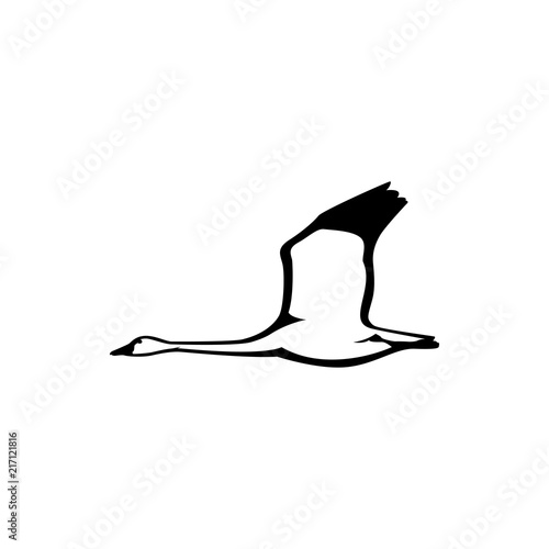 flying swan  goose silhouette