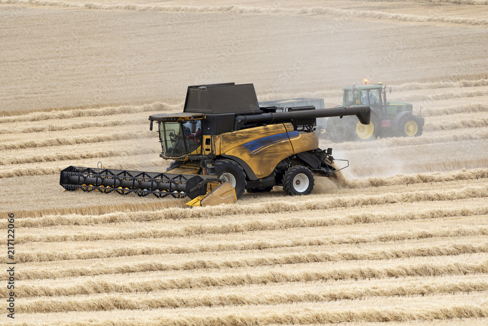 Obraz premium Hampshire, England, UK. 2018. A modern combine harvester working in a field of wheat at harvest time.