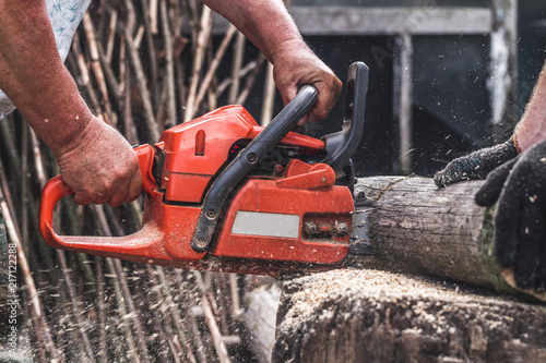 Wallpaper Mural Cutting wood with electric saw Torontodigital.ca