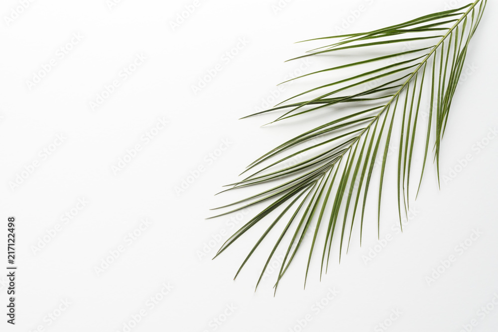 Fototapeta premium Mockup branchage tropical