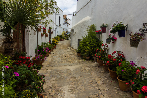Steep street with flower pots in an Andalusian white village (Vejer de la Frontera, Spain) © manjagui
