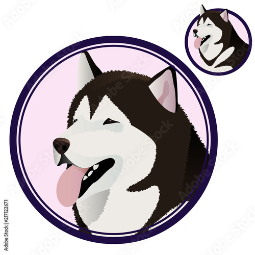 Alaskan Malamute head in circle
