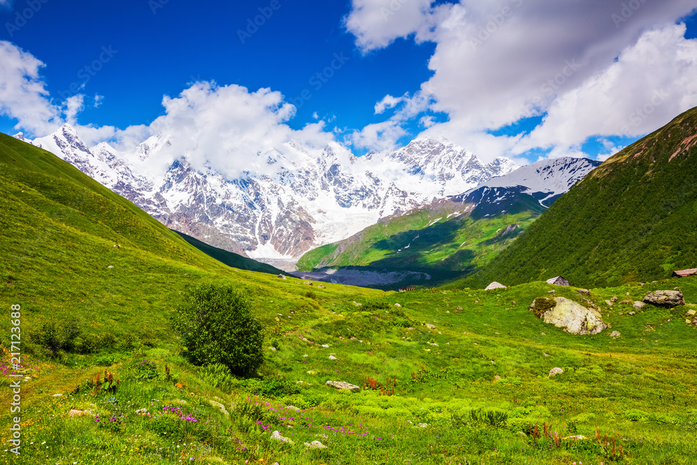 Fototapeta premium Fascinating lawn with yellow and white flowers. The landscape with the great beautiful mountains in the sun rays. Eco tourism. Spring scenery. Upper Svaneti, Georgia, Europe.
