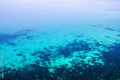 Beautiful aquamarine underwater world. Transparent water and unusual algae off the coast