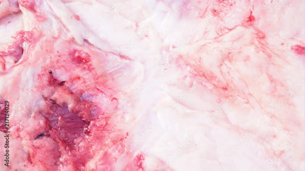 Fresh lard, greasy layer, close-up. Pig Slaughter Fresh lard, greasy layer, close-up. Pig Slaughter
