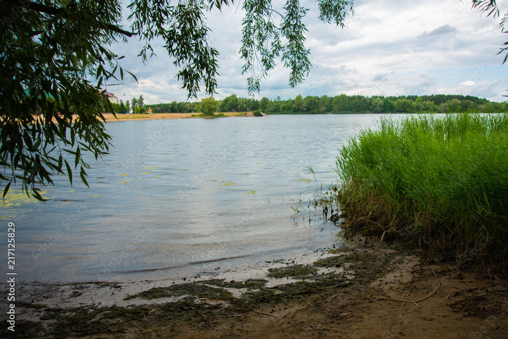 Lake with cane, fishing place, nature landscape