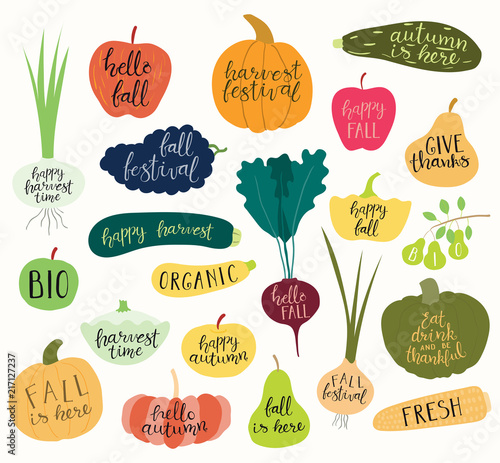 Big autumn harvest set with hand written calligraphy lettering quotes in fruits and vegetables. Isolated objects on white background. Vector illustration. Flat style design. Concept fall, Thanksgiving