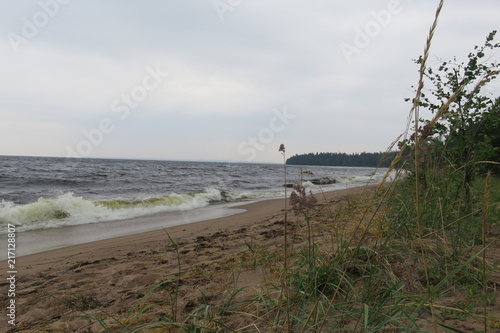 the Ladoga wave