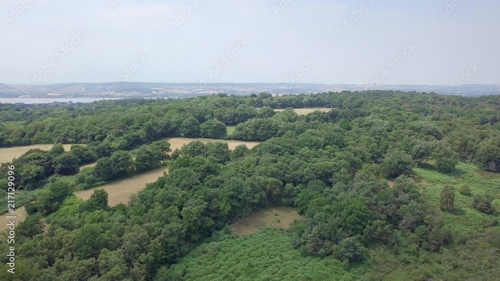 Aerial view of the forest outside of Budleigh Salterton, Devon, on a sunny day Aerial view of the forest outside of Budleigh Salterton, Devon, on a sunny day