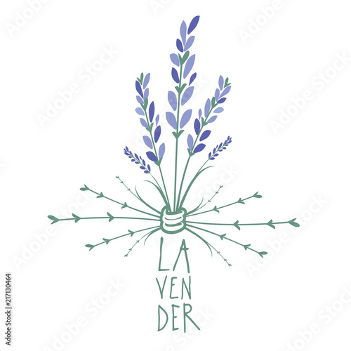 Fototapeta Naklejka Na Ścianę i Meble -  Lavender flower. Logo design. Text hand drawn.