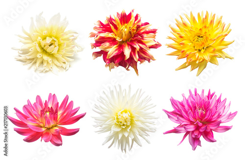 Fototapeta Naklejka Na Ścianę i Meble -  Set flowers dahlias isolated on white background. Flat lay, top view. Super collection. Easter. Pink, red, purple, yellow, orange