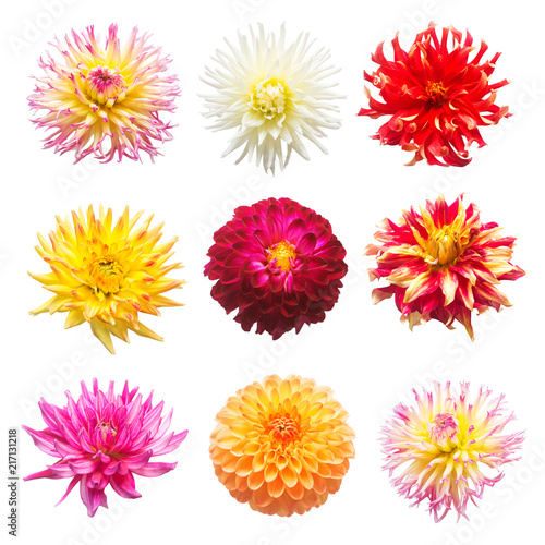 Fototapeta Naklejka Na Ścianę i Meble -  Set flowers dahlias isolated on white background. Flat lay, top view. Super collection. Easter. Pink, red, purple, yellow, orange