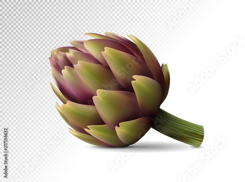 Fresh purple Artichokes on transparent background. Realistic vector eps10, 3d illustration