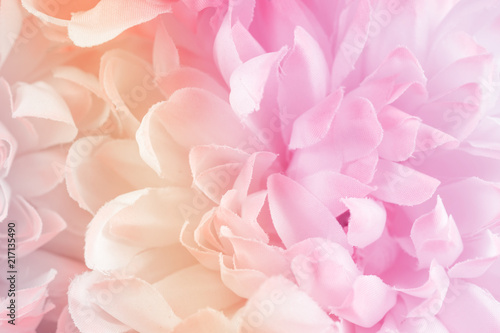 Chrysanthemum flowers in soft pastel color and blur style for background