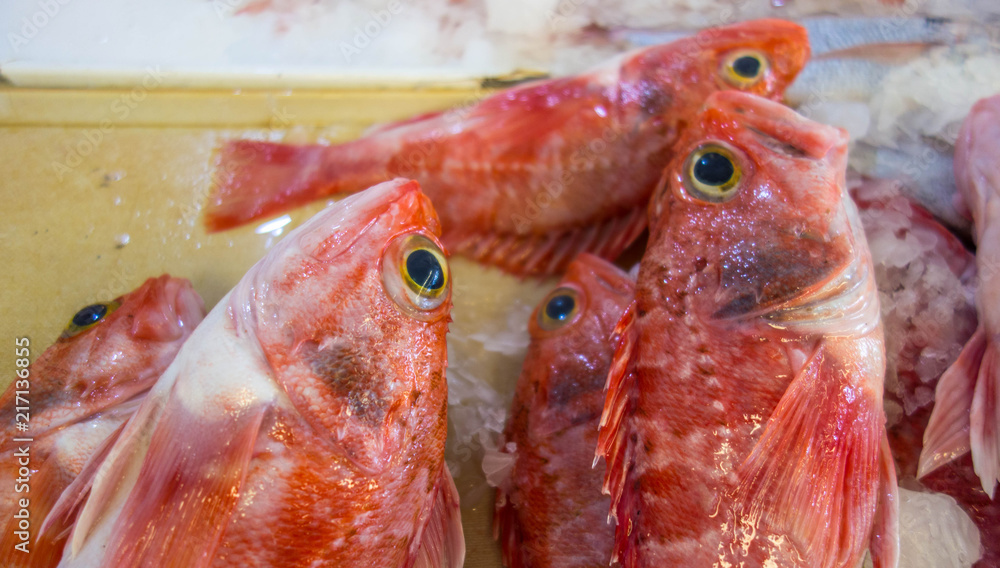 Close-up of fish at a market stall. Redfish.