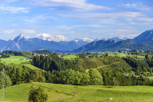 Fototapeta Naklejka Na Ścianę i Meble -  herrliche Natur im Allgäuer Alpenvorland
