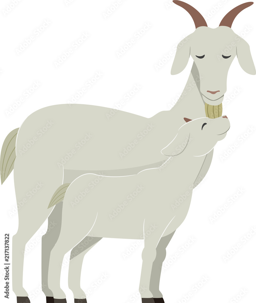 Obraz premium Goat Kid Illustration