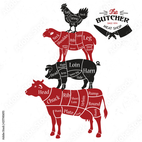 Meat cuts. Diagrams for butcher shop. Animal silhouette. Vector illustration.