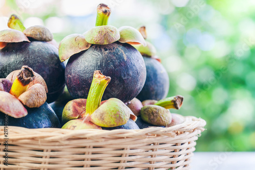 Mangosteen fruit in the wic...