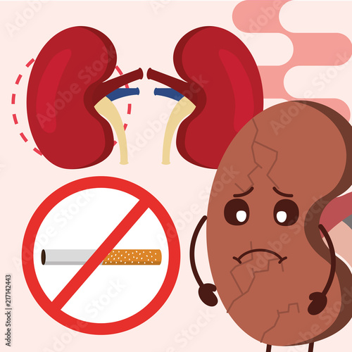 world kidney day