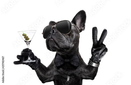 peace cocktail dog © Javier brosch