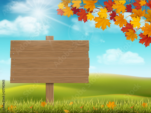 Autumn landscape grass and fallen leaves. Seasonal nature background with hill, meadow and sky.