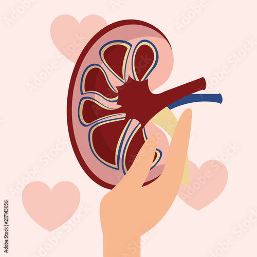 world kidney day