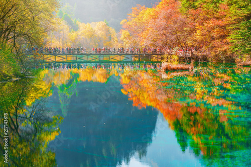 Sticker Trees by colorful lake at autumn day time.