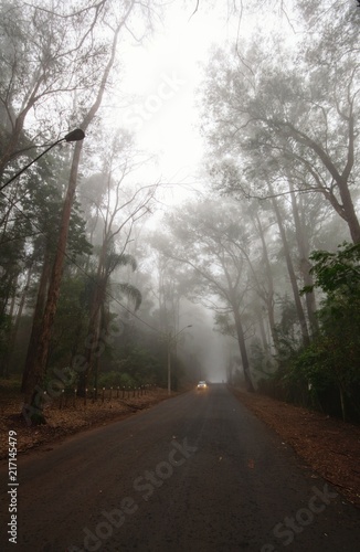 Estrada com Neblina