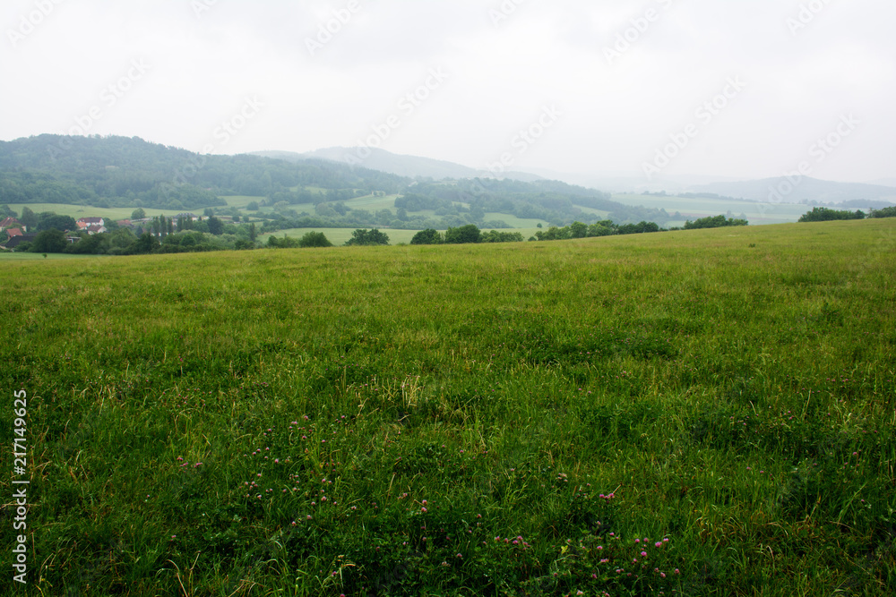 The green summer fields of  the Czech Republic.