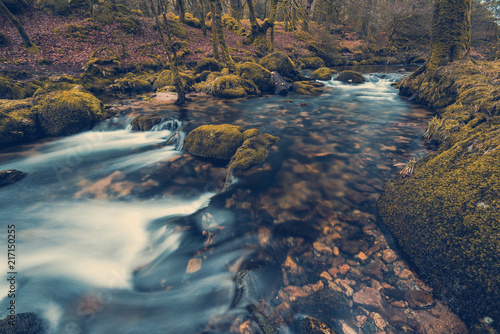 Fast flowing stream in ancient forest, toned and colored effect