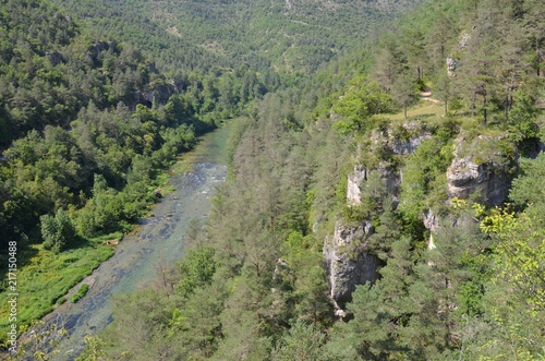 Gorges du Tarn (Tarn Canyon), France photo