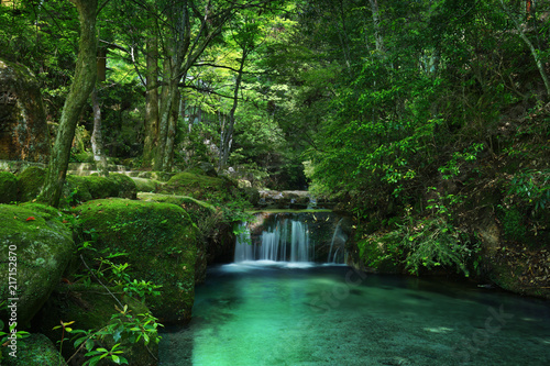 river cascade in a green forest with mossy rocks