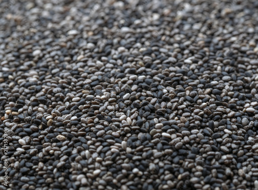chia seed chia seed