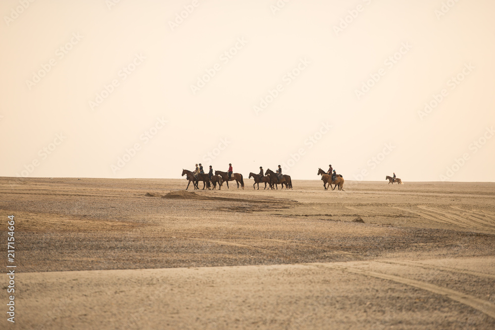 Obraz premium Horse rider on the beach