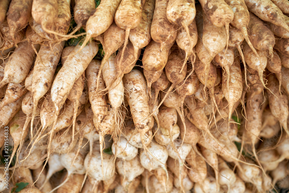 무우,알타리무우