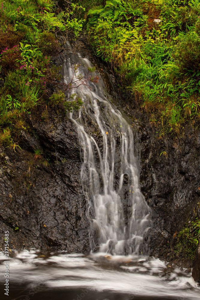 waterfall with green plants