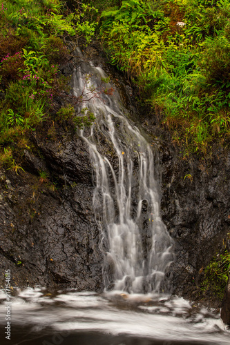 waterfall with green plants