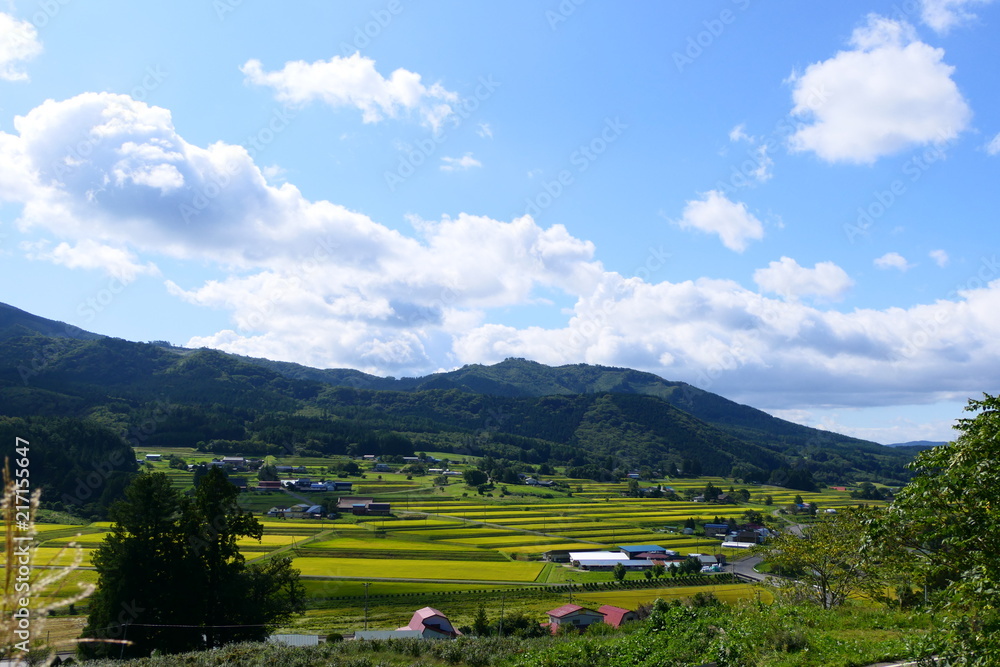 民話のふるさと、遠野。収穫前の棚田。遠野　岩手　日本。９月下旬。