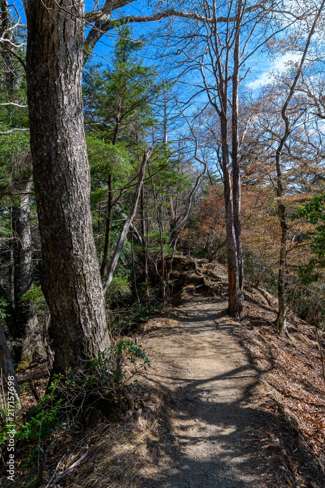 Fototapeta premium 両神山の秋の登山道