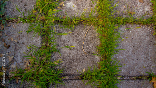 Texture