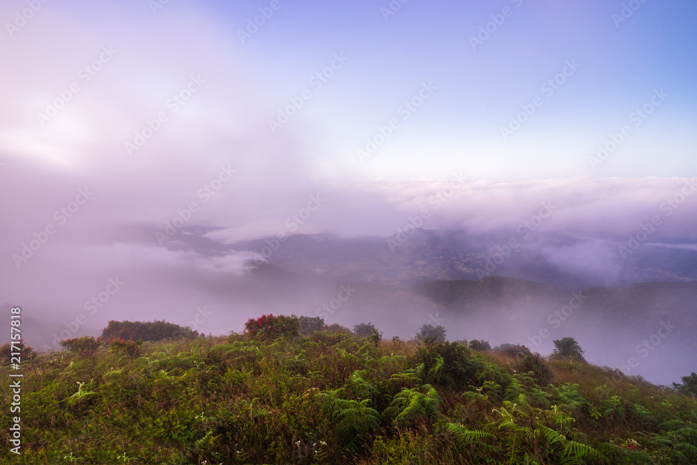 scenic of mountain hill with foggy in morning skyline