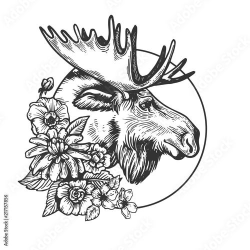 Moose head animal engraving vector