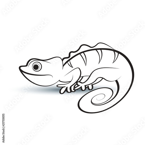 black outline chameleon on smooth shadow vector drawing