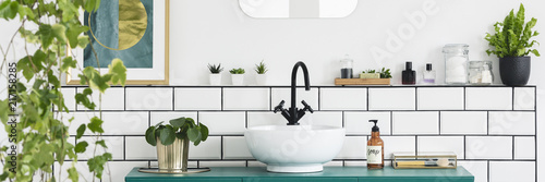 Photography Green cabinet with fresh plant, bottle with soap and white sink with black tap i