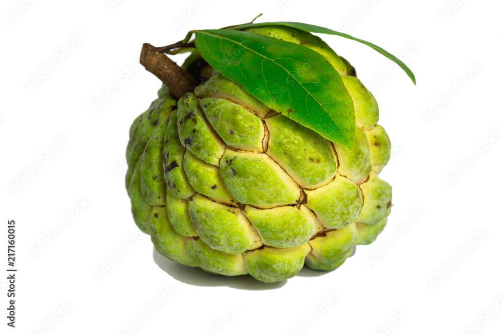 Obraz premium custard apple fruit (Sugar apple fruit) isolate on white background 