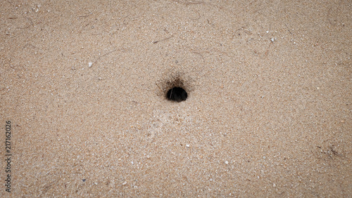The crab hole on the sand background.