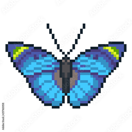 Pixel art vector forester butterfly isolated on white background.