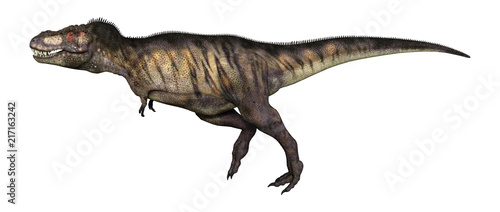 3D Illustration Dinosaur Tyrannosaurus on White © photosvac